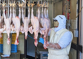 食肉衛生検査員による検査