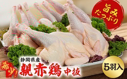 静岡県産 親赤鶏の丸鶏（中抜き）5羽セット